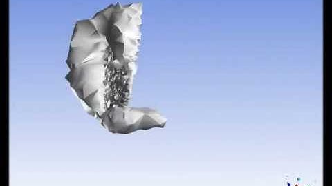 Beetle-mimicking flapping wing: Fluent CFD-Simulation, Vortex Generation