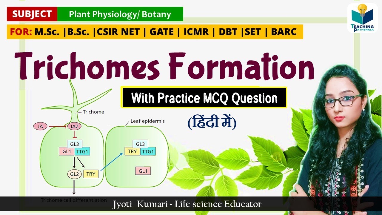 Trichomes Development || Plant Physiology | CSIR NET 2024