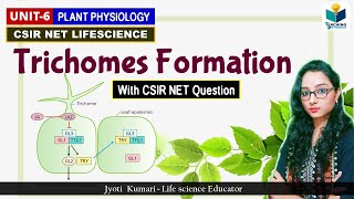 Trichomes Development || Plant Physiology | CSIR NET 2024