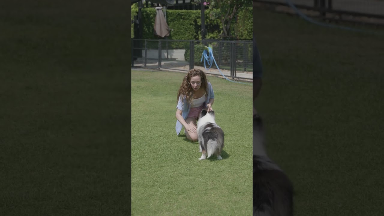 pexels blue bird 7189538