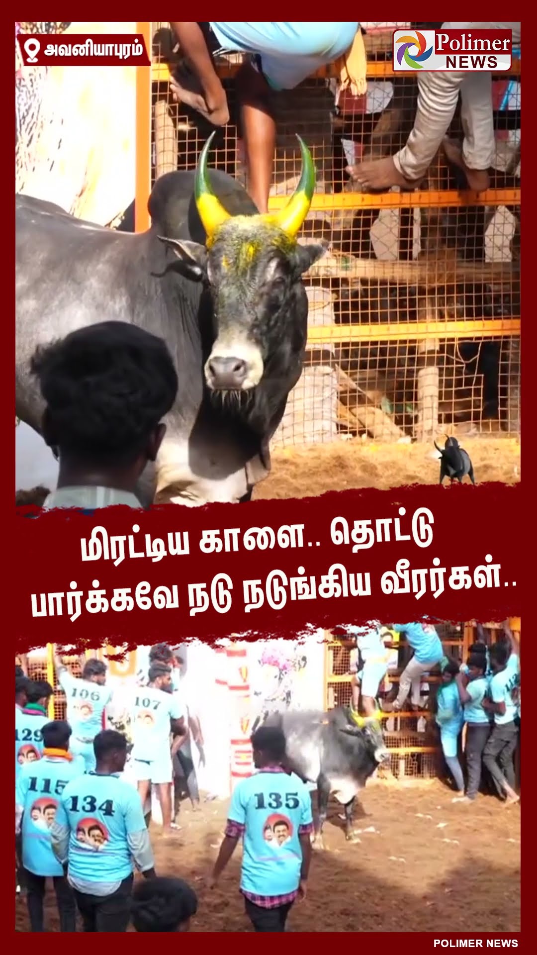மிரட்டிய காளை.. தொட்டு பார்க்கவே நடு நடுங்கிய வீரர்கள்.. #shorts