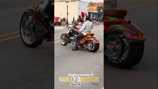 King Of Road🔥🏍Supercharged v8 Boss Hoss #harleydavidson #harleylife #bosshoss #twowheels #bikelife