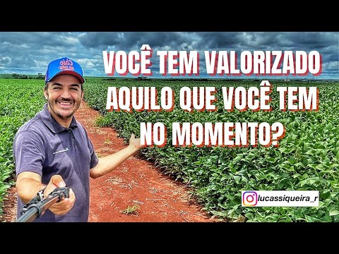 Você tem valorizado aquilo Que você tem no momento?