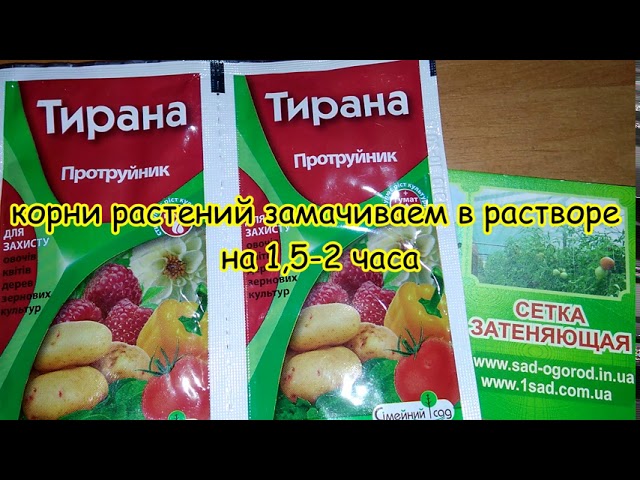 ТИРАНА від колорадського жука, борошнистої роси та гнилі картоплі, овочів