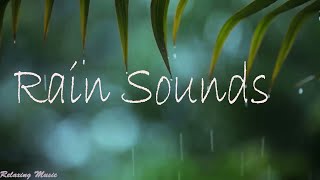 Download Lagu 12 Hours of Relaxing Music 💕💕Sleep Music with Rain Sound, Piano Music for Stress Relief MP3 Download Lagu 12 Hours of Relaxing Music 💕💕Sleep Music with Rain Sound, Piano Music for Stress Relief MP3