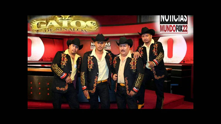 Los Gatos de Sinaloa - Corrido de Guillermo Herrer...