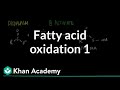 Fatty Acid Oxidation - Part I