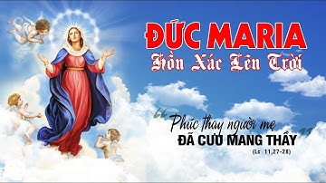 Bài giảng lễ vọng Đức Maria Hồn Xác Lên Trời năm 2021 - Lm Giuse Nguyễn Quốc Việt CSsR.