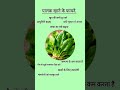 Kitchen Health benefits #food #shorts #viral #motivation #bhailog