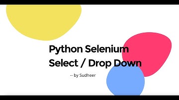 Python Selenium Handling Select Box