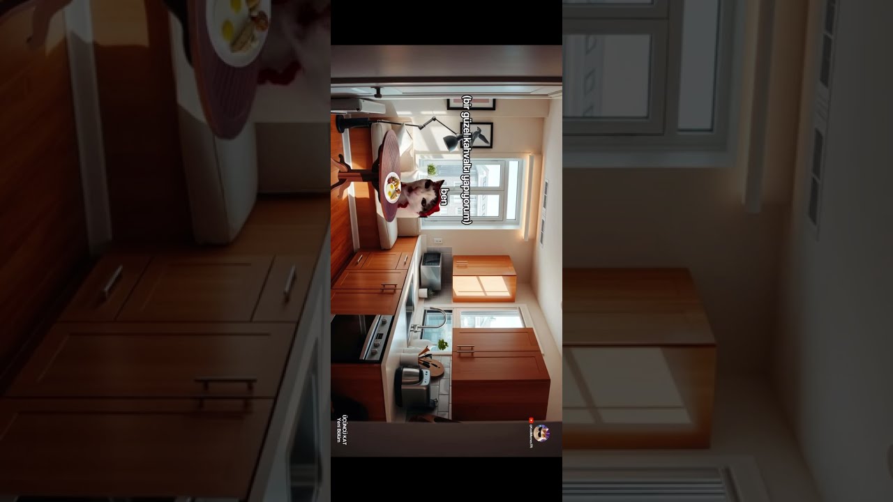 Kedi TR & Üçüncü kat |Tek parça| Mini Dizi TEK PARÇA halinde izleyebilirsiniz.iyi seyirler❤️