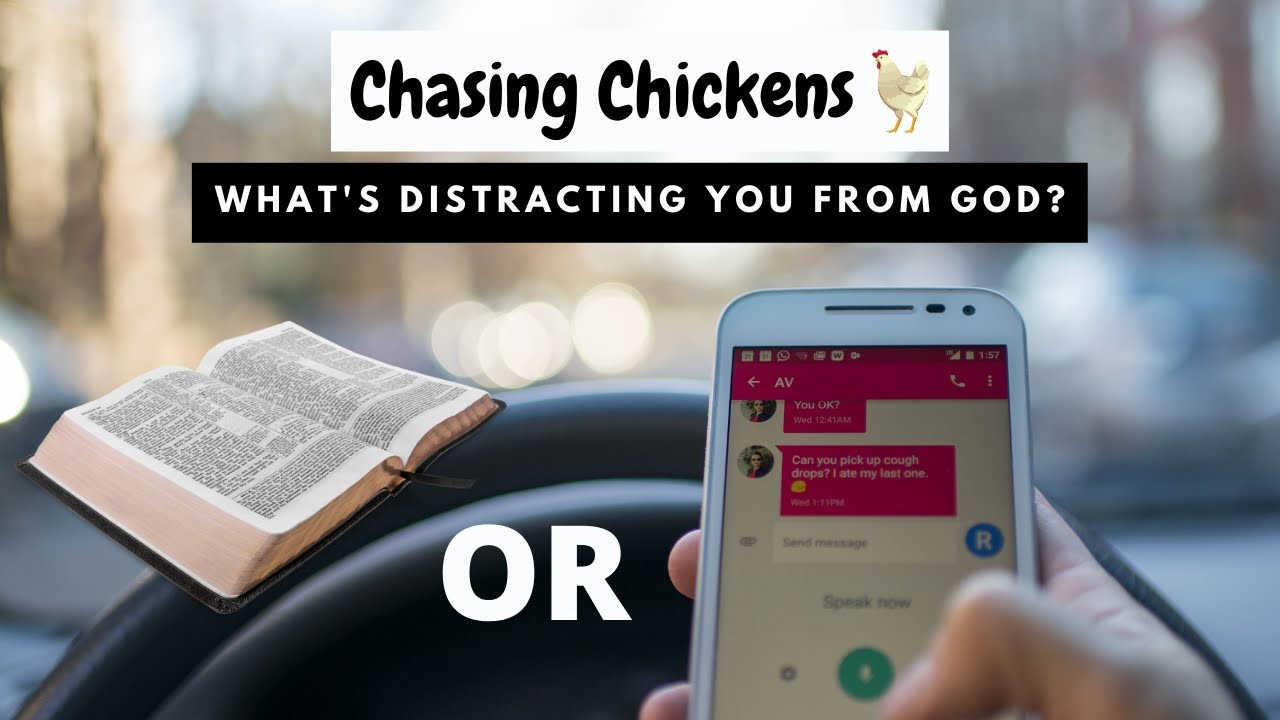 Chasing Chickens - What's distracting you from God?