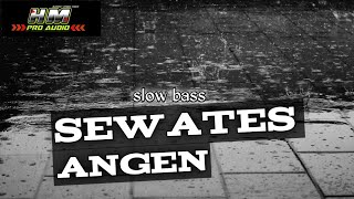 DJ SEWATES ANGEN SLOW BASS-PERFORM HM pro_audio