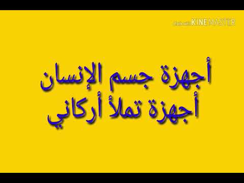 نشيد الجهاز الهضمي