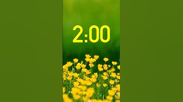 2 minute timer with relaxing Music | Short Timer with Nature Video #countdowntimers #classytimer