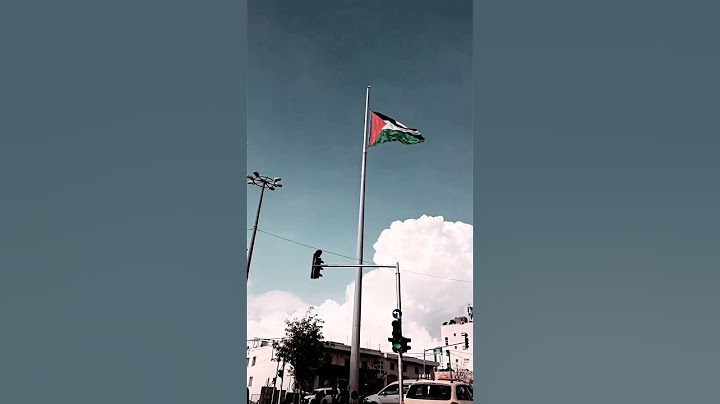 #shorts  علم فلسطين يرفرف في السماء