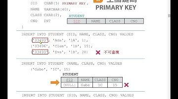 Database 5 Primary Key 主關鍵碼