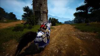 Wallpaper engine Black Desert 4
