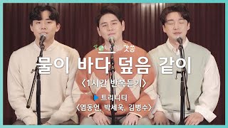 [1시간 반복듣기] 트리니티(Trinity) - 물이 바다 덮음같이｜원곡 : 고형원(예수전도단)｜갓쏭｜쏭스튜디오｜ccm