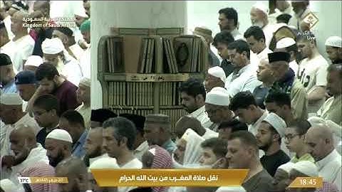 | فضيلة الشّيخ .د. ماهر بن حمد المعيقلي | خواتيم سورة الواقعة  يوم الثلاثاء 📆 ٢٠ صفر ١٤٤٥ هـ