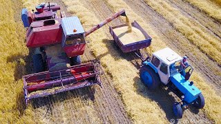 Уборка пшеницы. Редкие кадры 50 лет комбайну