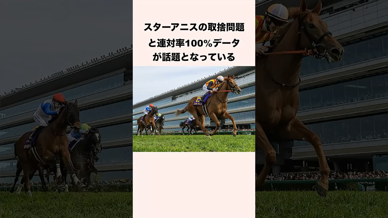スターアニスの取捨問題と連対率100%データが話題となっている #競馬 #競馬予想 #shorts