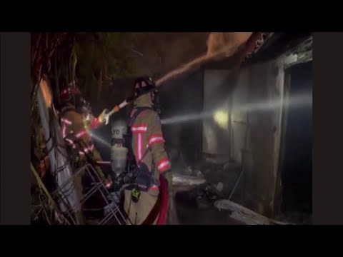 Woman, dog killed in townhouse fire in Lauderhill