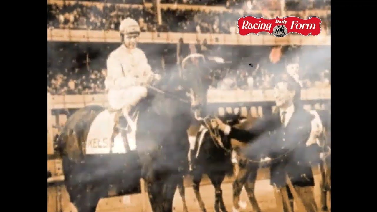 Daily Racing Form: Horse Racing Game Intro / Opening Clip - YouTube