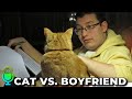 My Cat Hated My Boyfriend When They First Met