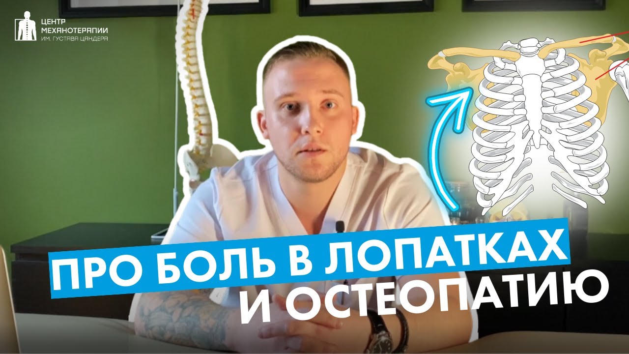 Боль в лопатках: откуда она появляется и как с этим работает остеопатия ...