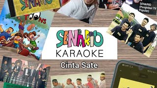 Senario - Cinta Sate (Karaoke Lyrics Video)