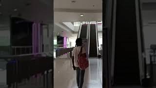 mini blog