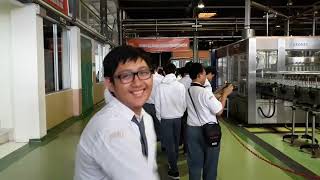 KUNJUNGAN KE PABRIK TEH BOTOL SOSRO VIDEO EDUKASI