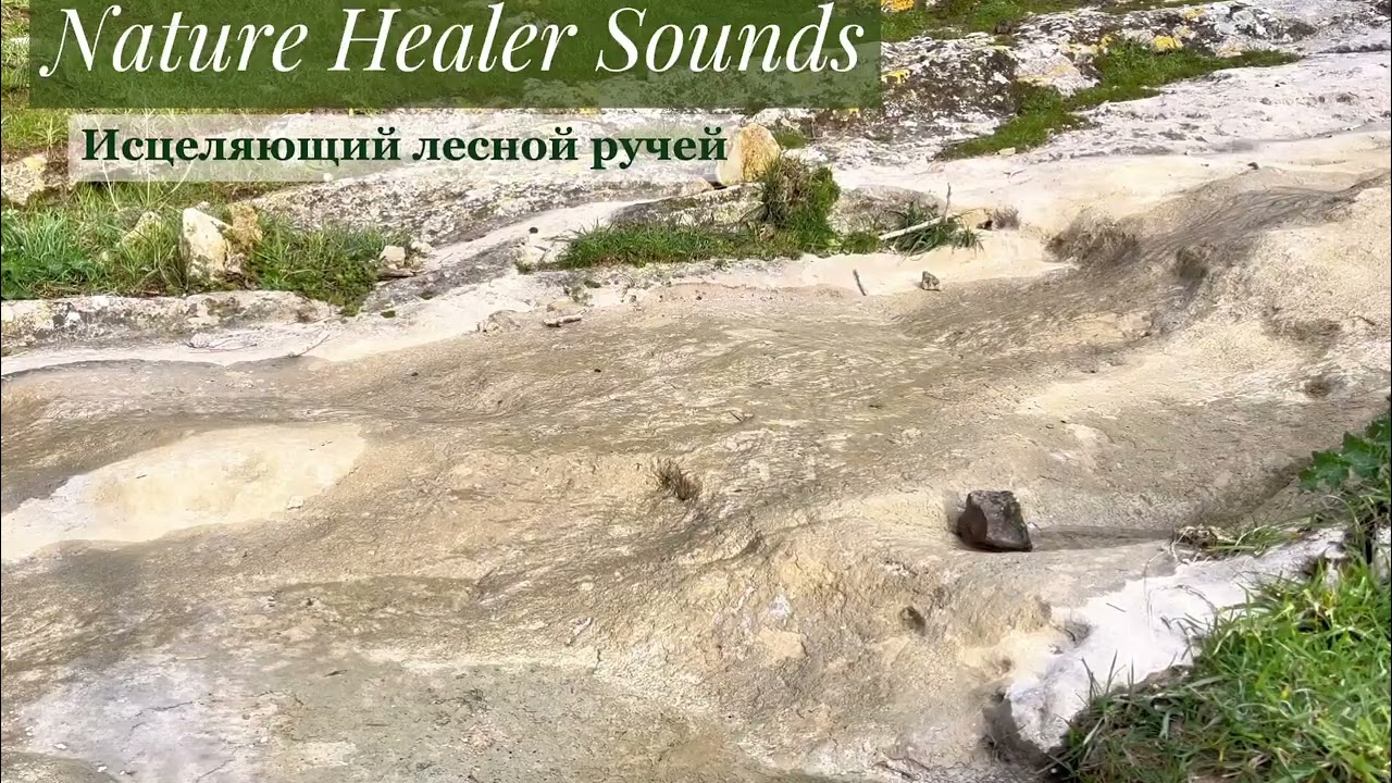 Healing Stream Sounds | Forest Water & Birds Ambience 🌿Целебный звук ручья | Лес вода и пение птиц
