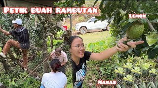 Download lagu SURPRISE INAI DAN AMAI DI KEBUN | TOUR KEBUN NANAS INAI