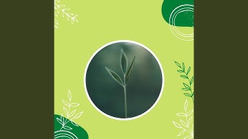 Modish Backdrops for Busy Weekdays