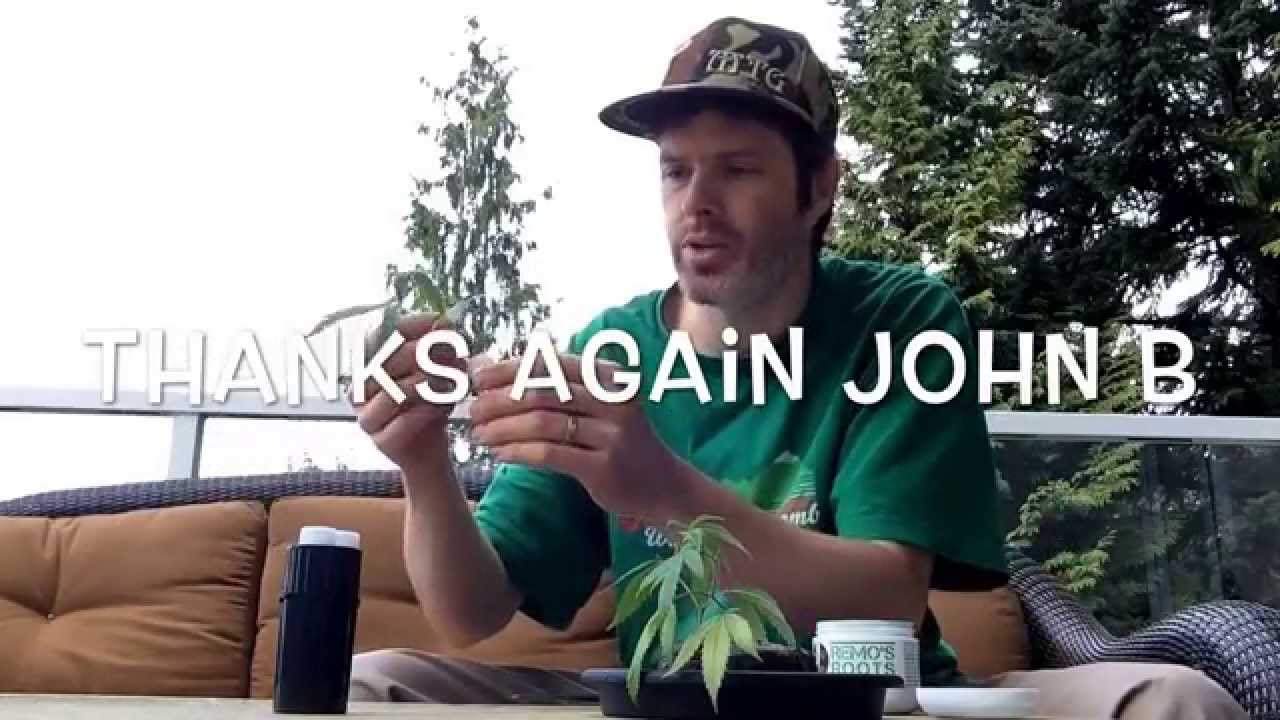 Medi Haze clones from john