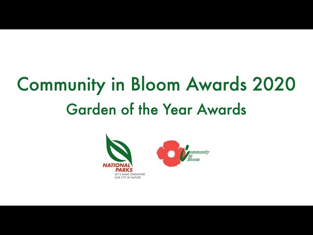 Thumbnail for CIB Awards 2020