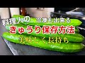 【きゅうり保存方法】なぜ痛むのか?解決方法を紹介します