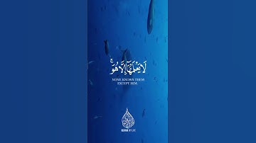 لا يعلمها الا هو 💙 القارئ طارق محمد Surah al an'am