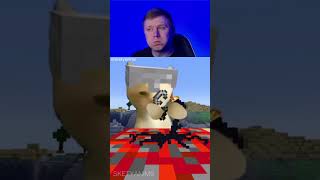 Minecraft In Cat 🤣84 #minecraft #funny #viral