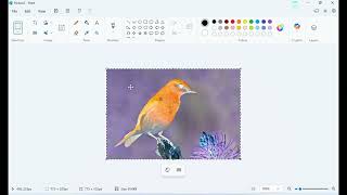 How to Invert Colors of an Image in PowerPoint (Easy!) How To Invert Image Color In Powerpoint Fast