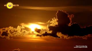 Dilek Yarımadası Kuş Cenneti Fragman 4K Uhd