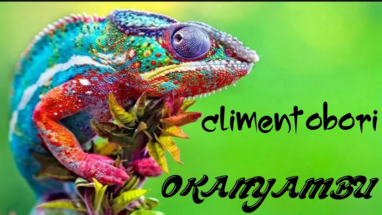 Watch Climent Obiri - Okanyambu - 4K (official music video) on YouTube Watch Climent Obiri - Okanyambu - 4K (official music video) on YouTube