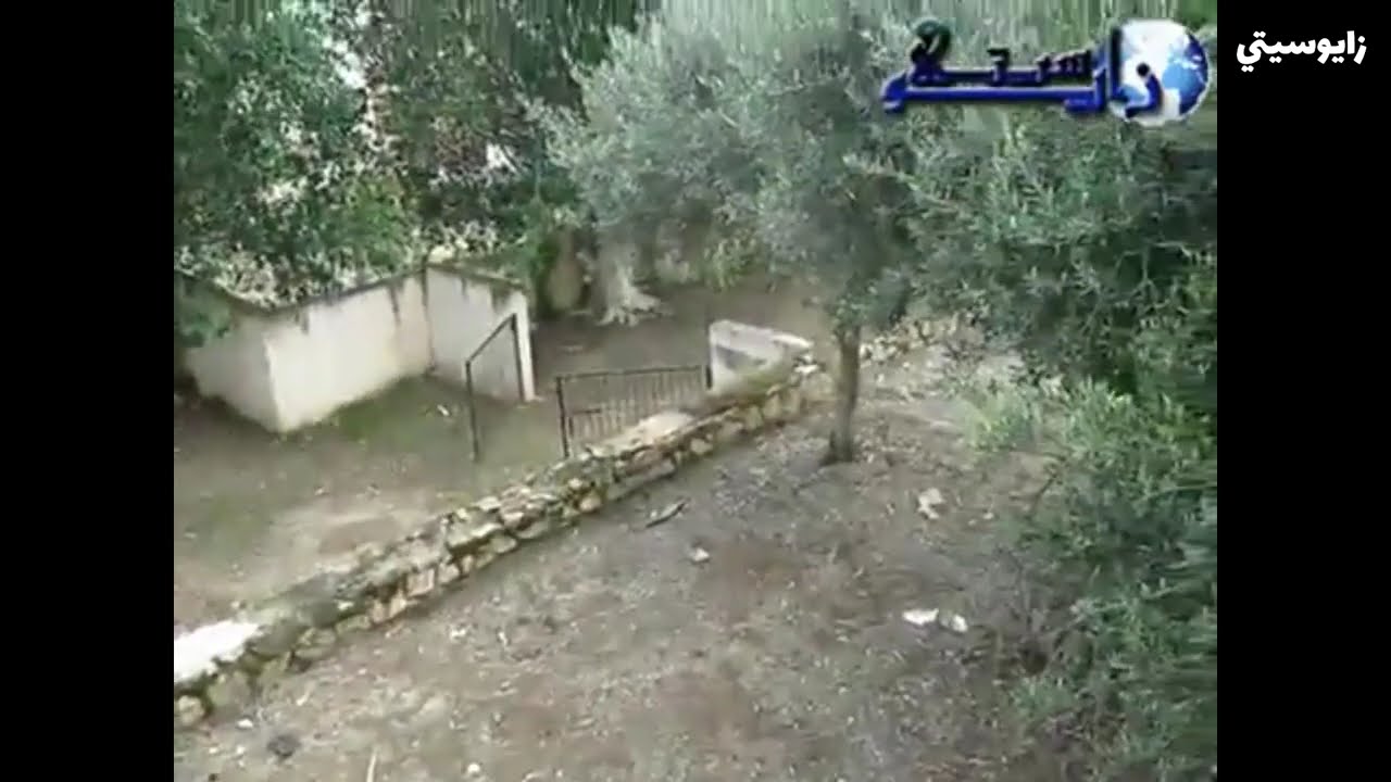 فيديو نادر لقيادة زايو القديمة  قبل 13 سنة