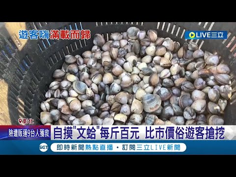 彰化線西再現挖蛤盛況！時隔2年再辦摸蛤活動 自摸"文蛤"每斤只要百元遊客搶挖│記者  許書維 吳宗哲 潘俐雯│【玩樂freestyle】20220815│三立新聞台