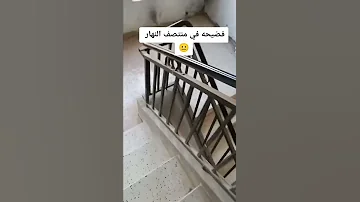شاهد الان فضيحة في الجزائر العاصمة 