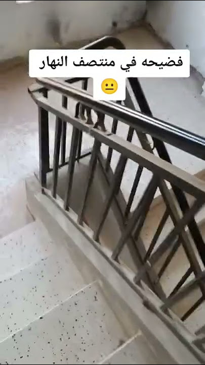 شاهد الان فضيحة في الجزائر العاصمة