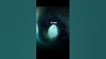 HACKER MOTIVATION STATUS 🔴 💻 |hacker whatsapp status 💪 👏 |#DMGEDIT