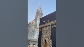 سورة الفجر💕 || قران كريم🤍|| بصوت القارئ ماهر المعيقلي || #قرآن #الحمدلله والشكر لله💕
